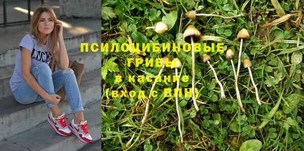 ALPHA PVP Белокуриха