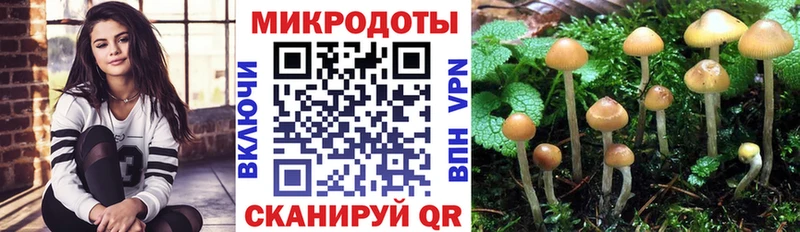 сайты даркнета клад  Черняховск  Псилоцибиновые грибы MAGIC MUSHROOMS  цена наркотик 